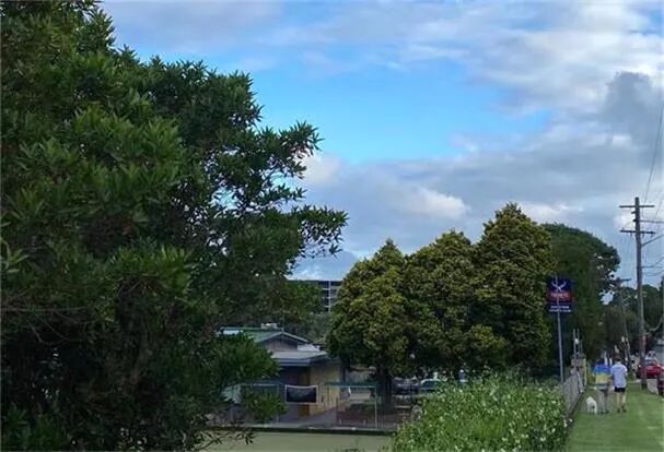 澳洲私立学院因留学生无法入境面临窘境 政府将施以援手 - 1