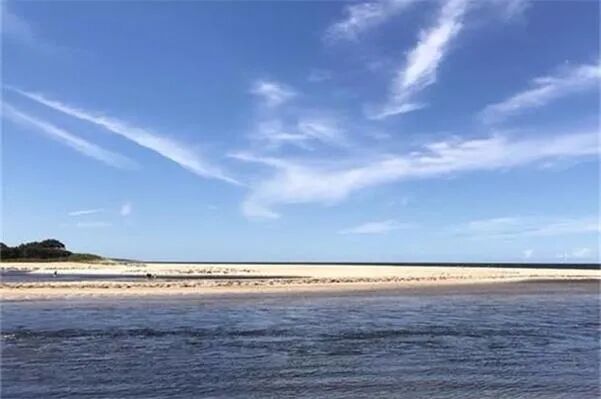 预计中国需求强劲 恒天然再上调牛奶收购价 - 1