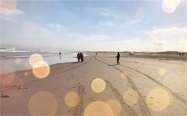 海外疫情风险仍存 澳洲海外旅行禁令延长至6月中旬 - 1