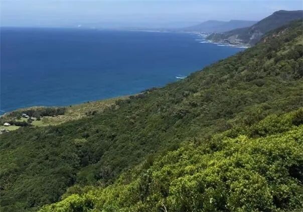 Sheffield与中国大客户签署17万吨级锆精矿包销协议 - 1