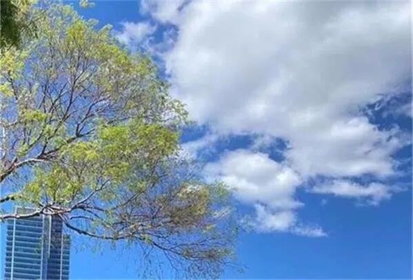 地产金融公司Qualitas：公寓新的开发周期已开始 Neuren获美国FDA批准推进安格尔曼综合症新药2期临床试验 - 1
