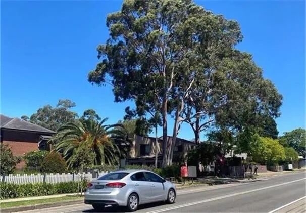 维州企业破产数飙升 建筑业祸根深种 红酒业艰难前行 明年破产率还将飙升 - 1