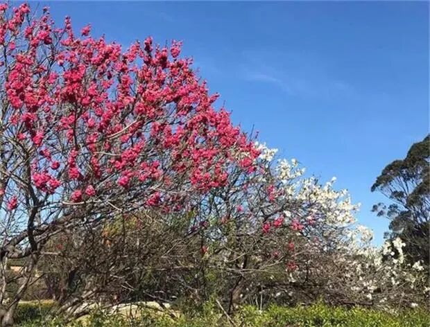 身家称霸亚洲 财富超越巴菲特 华人钟睒睒列全球富豪榜第6 - 1
