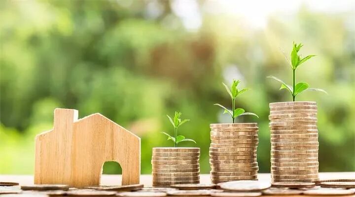 联邦银行称房价下跌风险已经过去 明年房价涨幅达到5% - 1