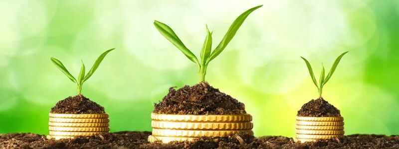 澳洲优质股票基金2019年业绩喜人 前十名回报率皆超30% - 2