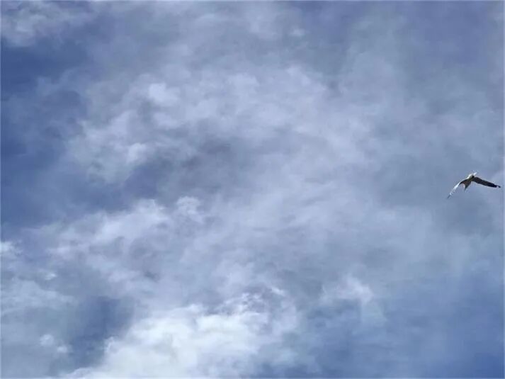 低利率和财政纾困政策成效渐显 市场信心改善 RBA认为失业率依然会在6%之上 - 1