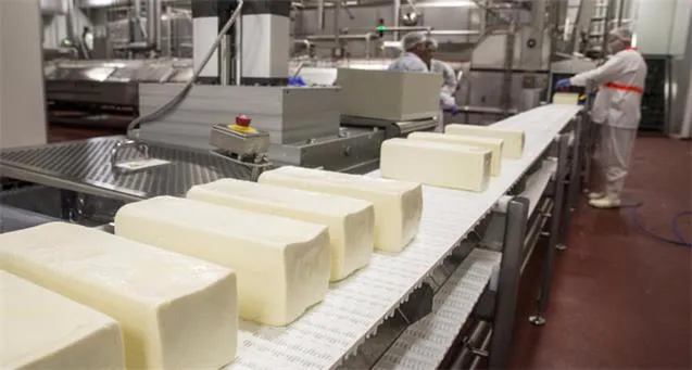 高毛利产品加速扩产 澳第三大奶酪制造商BFC成长可期 - 2
