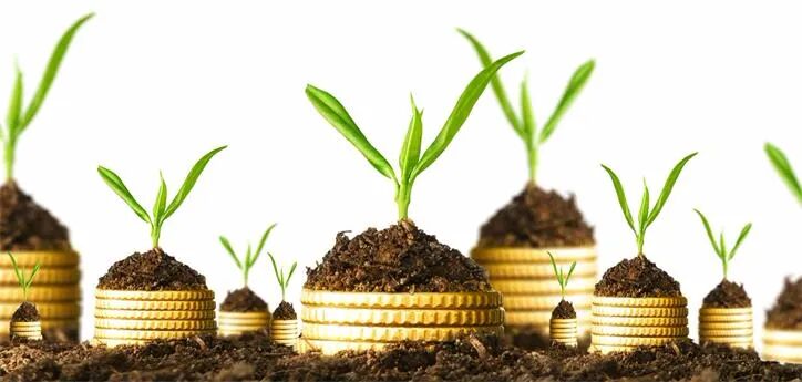 地产信息|Atlas Advisors Australia增加医疗保健地产投资 - 1