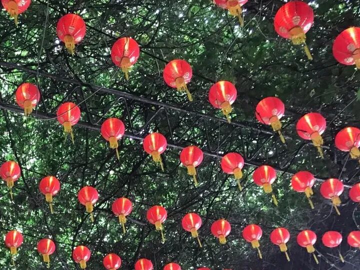 澳洲走出经济衰退 中国因素至关重要 - 1