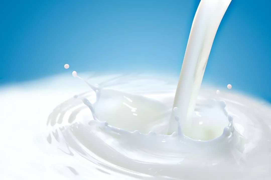 2018上半财年澳牛奶产量上涨3% 全脂牛奶销量攀升 - 1