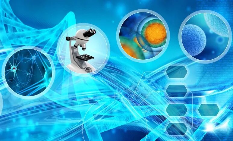 生物信息采集受阻 数千国际学生无法及时获得澳洲签证 - 1