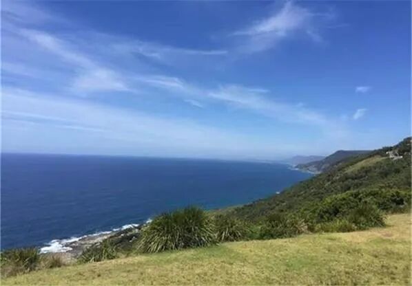 Westpac再陷反洗钱风波 新西兰储备银行指控其漏报近8000笔国际交易 - 1