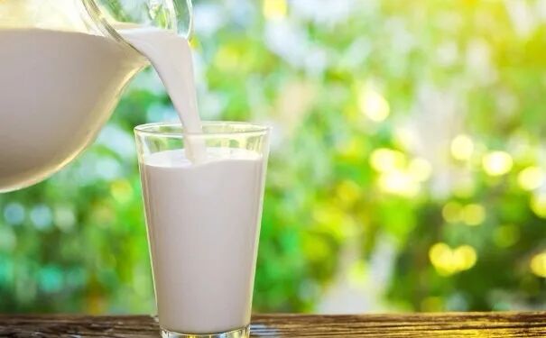 又一大型乳业资产寻求买家 澳洲农业资产交易活跃 - 1