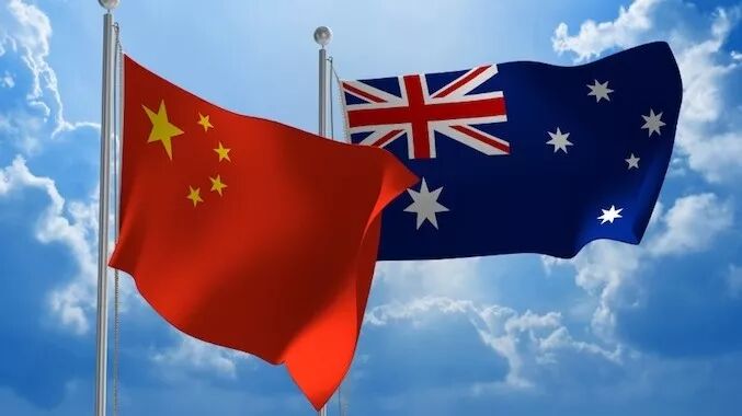 澳北活牛出口迎来中国首秀 蓝舌病难题亟待解决 - 2