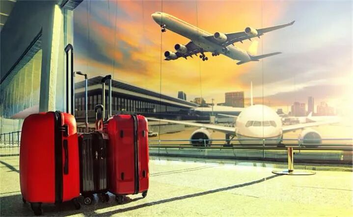 悉尼至奥克兰航线或首先复航 赴欧美旅行需等到明年 - 1