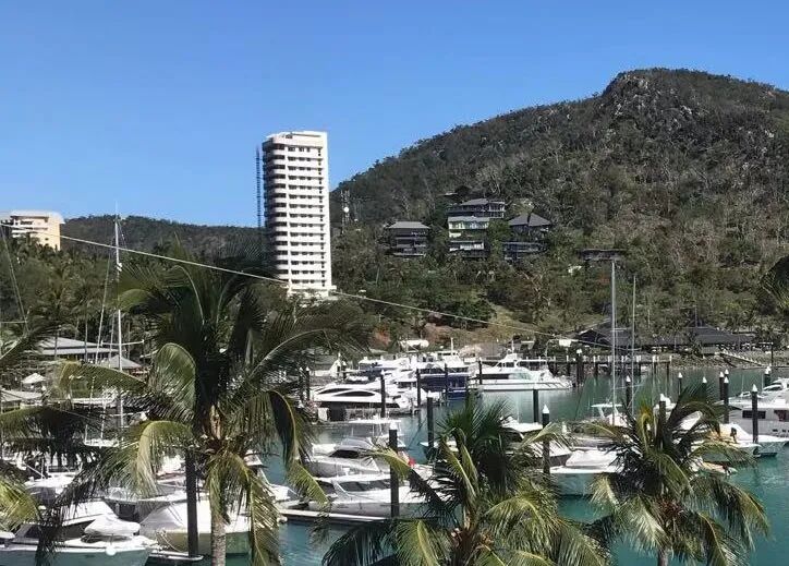 置业者信心增强需求强劲 澳洲住房拍卖清盘率上升 - 1