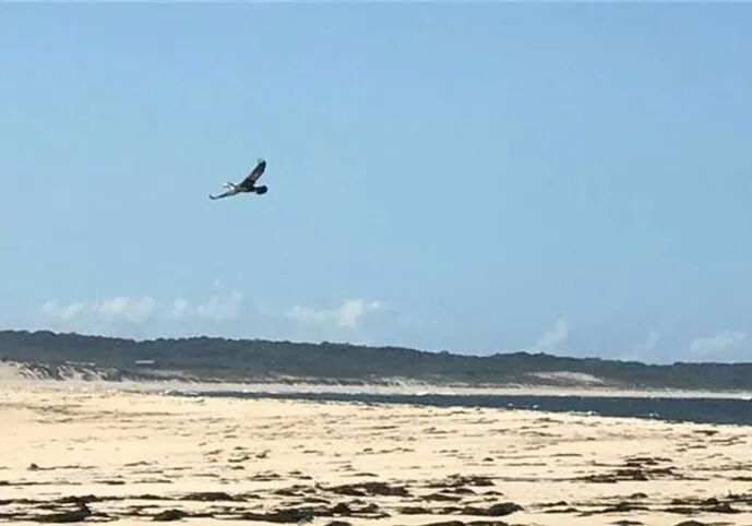 中国港口铁矿石库存大幅下降 FMG预测价格仍将上涨 - 1