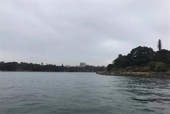 传澳洲网友曝光41个中资酒庄 呼吁澳民集体抵制 - 1