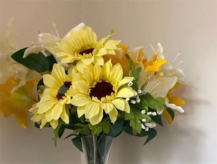医疗科技公司Tali与印度最大的媒体集团合作 股价放量大涨 - 2