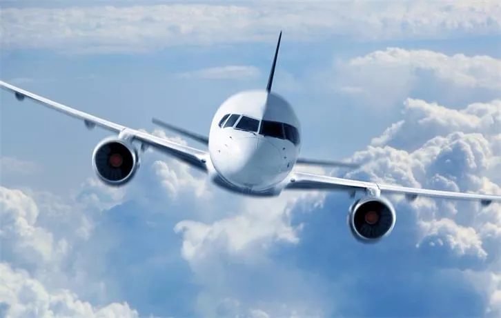 澳洲将增加更多国际航班 帮助海外居民回国 - 1
