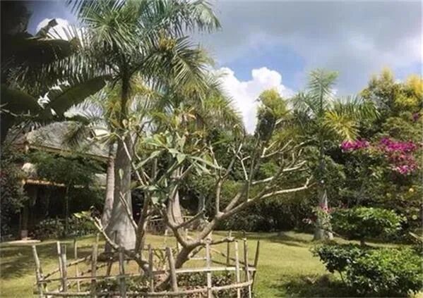 花旗集团逆势扩招三千人 2倍上涨之后兖煤澳洲或被大股东收购？借贷蜜月期Gone - 1