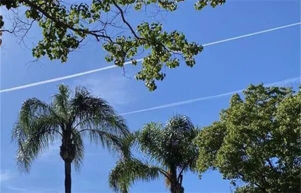 道琼斯工业指数、比特币价格双双创出新高 澳远郊地区房价涨势趋缓 - 1