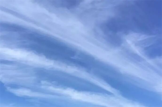 ACCC指控RFG违反澳大利亚消费者保护法 从事误导性交易行为 - 1
