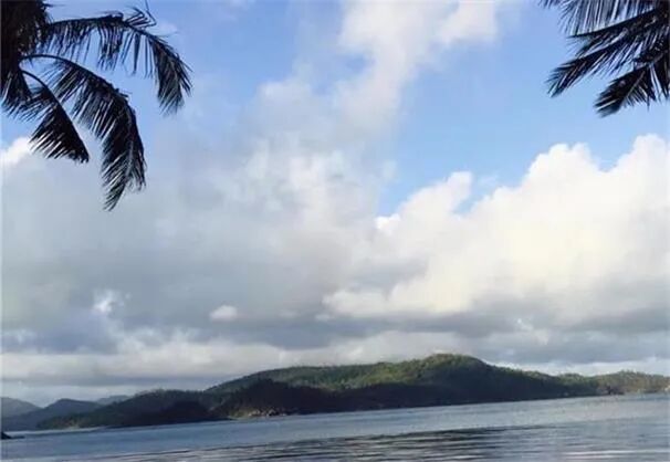 遭疫情和中澳贸易摩擦打击 澳洲煤炭产业损失近15亿澳元 - 1