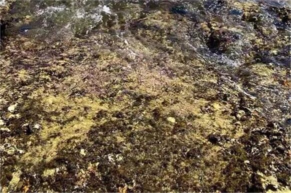 中国考虑限制稀土出口 Lynas稀土公司加快布局美国 - 2