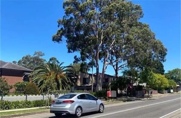 OECD就业前景报告：疫情加速低技能岗位市场淘汰 - 1