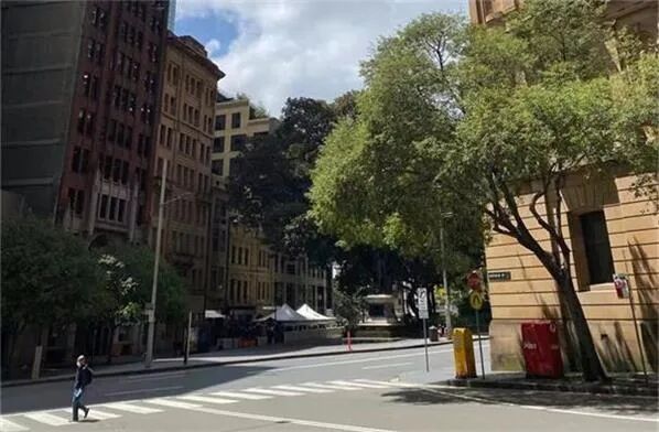 永久长期入境人数首录负数 海外净移民人数连续跳水 - 1