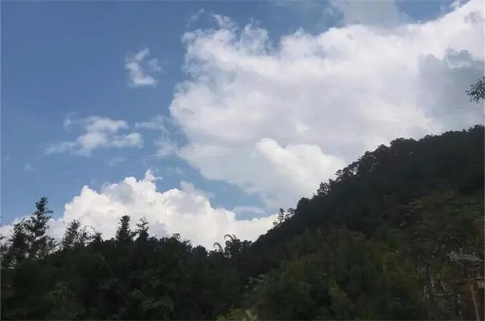 莫里森表示“留职补贴”将按计划消减 支持边界封锁措施 - 1