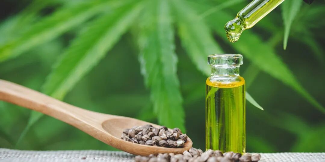 海外＋国内市场齐头并进　药用大麻研发商Q３营收增长135％ - 2