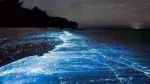 荧光蓝的沙滩你见过未？绝美浮潜堪比仙本那，上帝偏爱的古达，渐露真容！