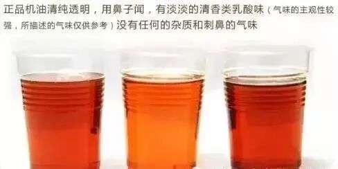 机油品牌壳牌_壳牌机油分几种档次_机油壳牌什么价位