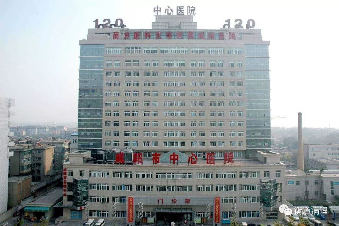 显微镜下的病理人生