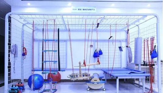 康复悬吊组装怎么装【康复技术】悬吊运动治疗(sling exercise therapy，SET)！_https://www.jmylbn.com_新闻资讯_第3张