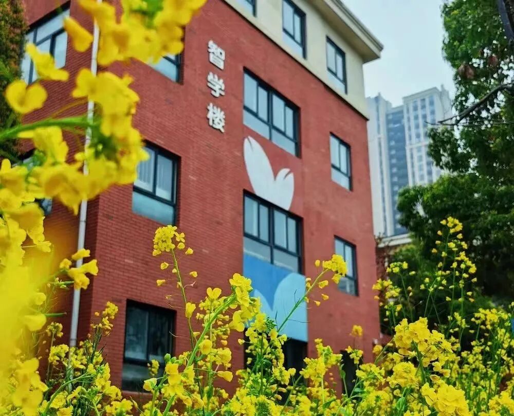 2023年,华山路小学继续秉承"生命自觉 主动成长"的办学理念,在继承中
