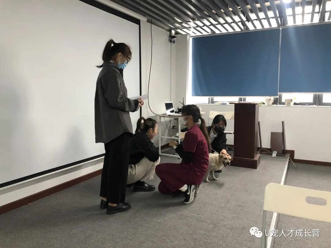 活动篇 | 搞宠物医院也可以当管理？联合就可以！