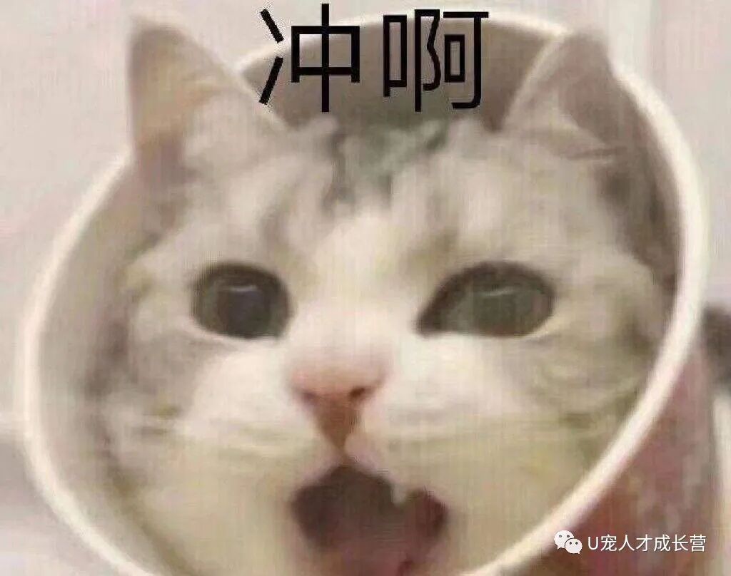 活动篇 | 搞宠物医院也可以当管理？联合就可以！