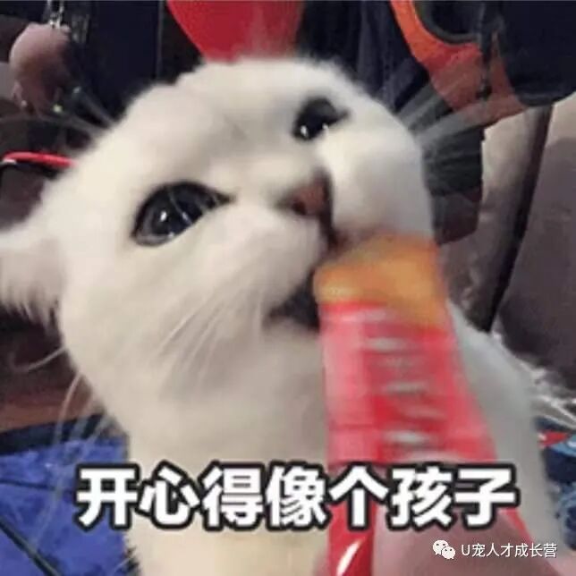 惊人，联合实习生居然还有这种操作！！