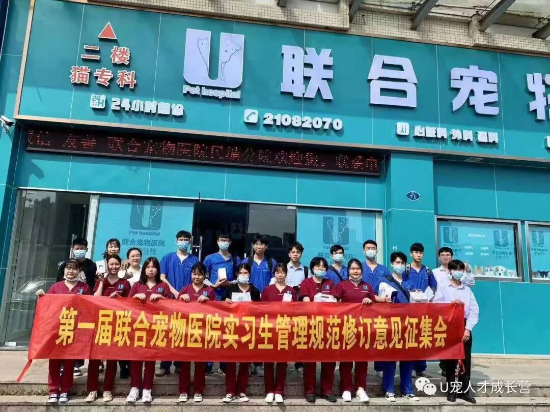 惊人，联合实习生居然还有这种操作！！