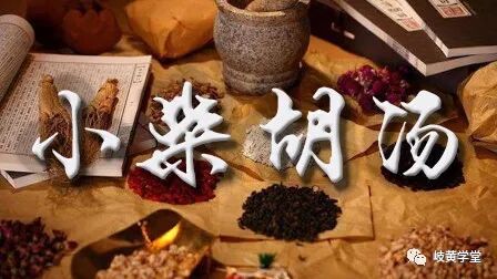 ​方和谦｜善治百病的千古神方，如何解读小柴胡汤！