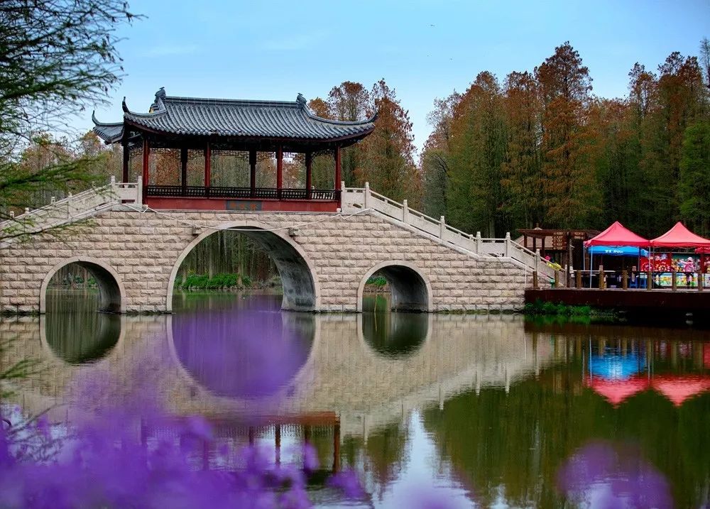 【游苏杭】 个园-瘦西湖-千垛油菜花-水上森林-鼋头渚樱花-苏州拙政园--狮子林奇石-杭州西湖-千岛湖 品味古城，赏千秋粉黛！