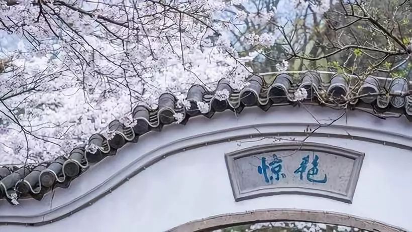 【游苏杭】 个园-瘦西湖-千垛油菜花-水上森林-鼋头渚樱花-苏州拙政园--狮子林奇石-杭州西湖-千岛湖 品味古城，赏千秋粉黛！