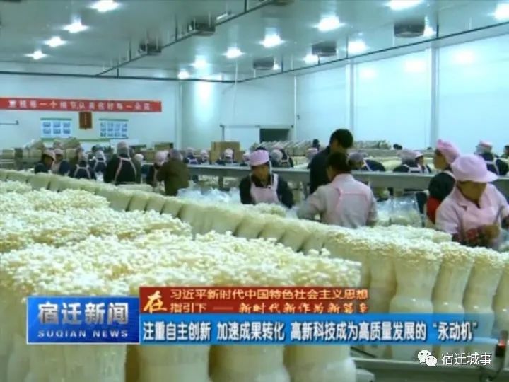 全自動切管機(jī)