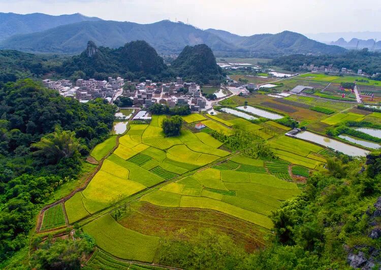 《家在阳春》—— 春湾镇高村自然村
