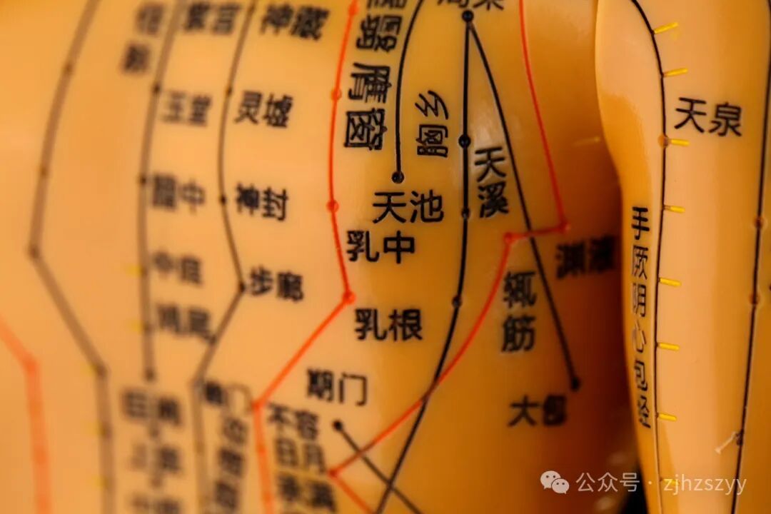 左眼皮一直跳是什么原因