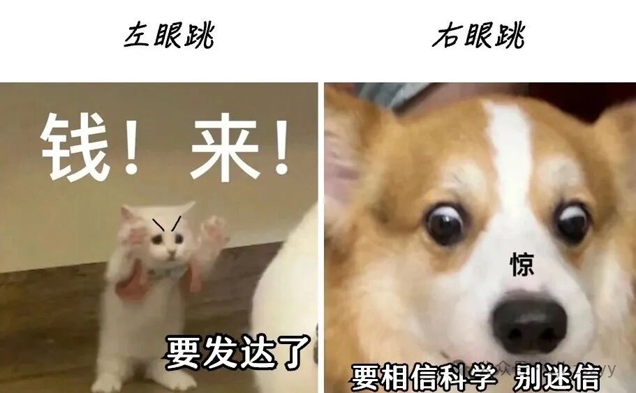左眼皮持续跳动？唯一真实预兆揭秘，别再迷信吉凶说法