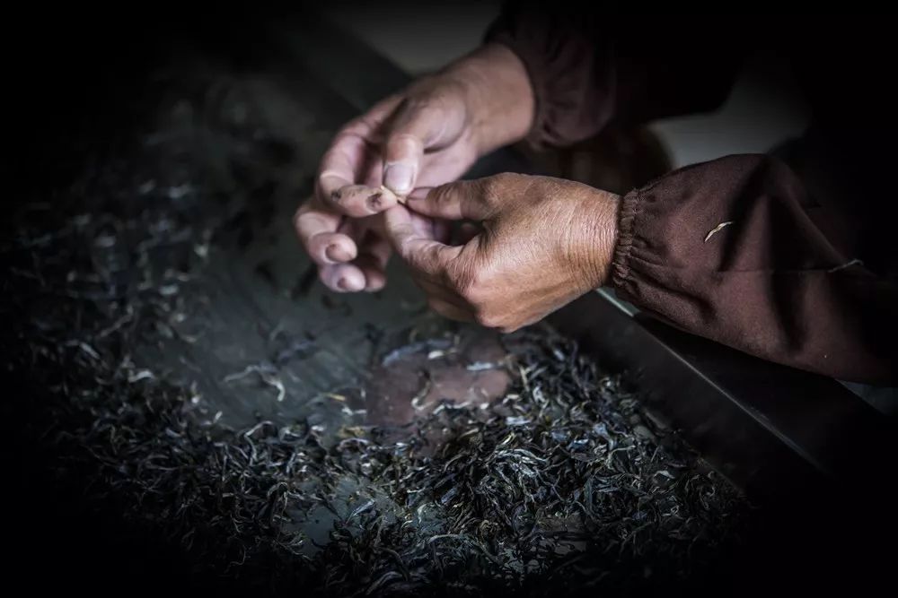 津乔制茶过程中大多数步骤需要戴手套操作,避免手与茶叶直接接触